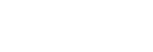 Şampiyon At